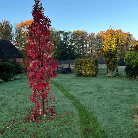 Appartement Ferienwohnung, Schlafzimmer 2 *