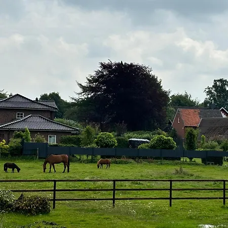 Ferienwohnung, Schlafzimmer 2 Appartement Sevelten