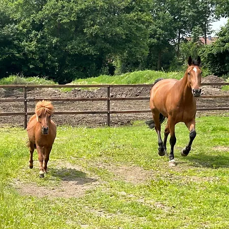 Ferienwohnung, Schlafzimmer 2 Sevelten