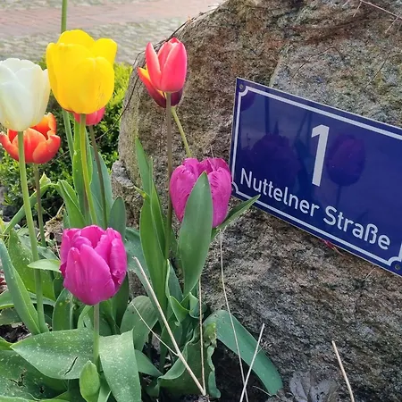 Von Hammel 2 Schlafzimmer *